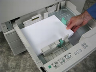 The printer can hold an entire ream of paper. So why don't my co-workers  fill the empty tray with the entire ream of paper? : r/mildlyinfuriating